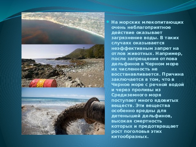 На морских млекопитающих очень неблаго­приятное действие оказывает загрязнение воды. В таких случаях оказывается неэффективным запрет на отлов жи­вотных. Например, после запрещения отлова дельфинов в Черном море их численность не восстанавливается. При­чина заключается в том, что в Черное море с речной водой и через проливы из Средиземного моря поступает много ядо­витых веществ. Эти вещества особенно вредны для детены­шей дельфинов, высокая смертность которых и предотвра­щает рост поголовья этих китообразных. 