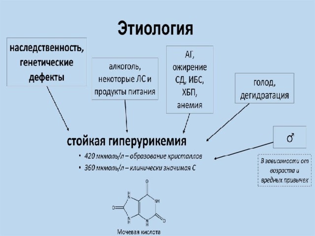 Подагра патогенез