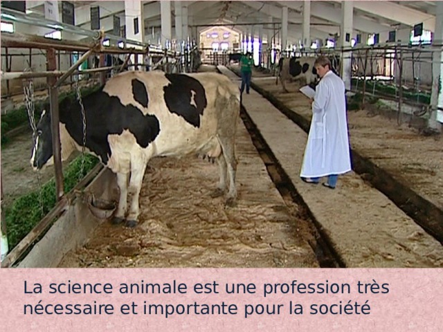 La science animale est une profession très nécessaire et importante pour la société 