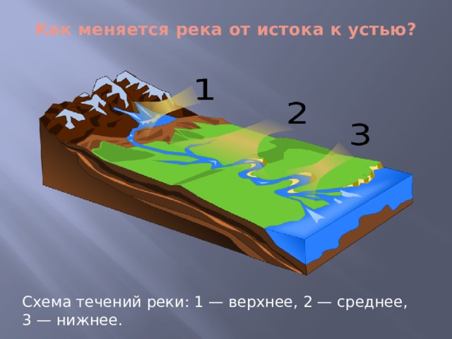 Как меняется река от истока к устью? Схема течений реки: 1 — верхнее, 2 — среднее, 3 — нижнее. 