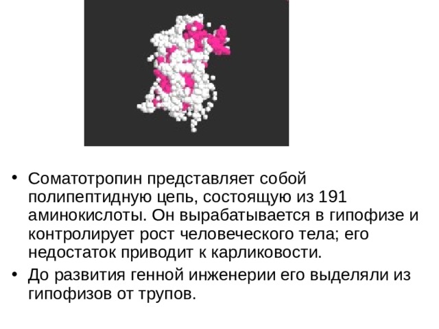 Соматотропин представляет собой полипептидную цепь, состоящую из 191 аминокислоты. Он вырабатывается в гипофизе и контролирует рост человеческого тела; его недостаток приводит к карликовости. До развития генной инженерии его выделяли из гипофизов от трупов.  