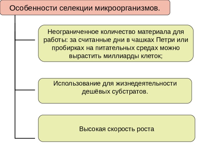 Особенности селекции микроорганизмов. Неограниченное количество материала для работы: за считанные дни в чашках Петри или пробирках на питательных средах можно вырастить миллиарды клеток; Использование для жизнедеятельности дешёвых субстратов. Высокая скорость роста 