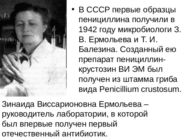 В СССР первые образцы пенициллина получили в 1942 году микробиологи З. В. Ермольева и Т. И. Балезина. Созданный ею препарат пенициллин-крустозин ВИ ЭМ был получен из штамма гриба вида Penicillium crustosum. Зинаида Виссарионовна Ермольева – руководитель лаборатории, в которой был впервые получен первый отечественный антибиотик. 