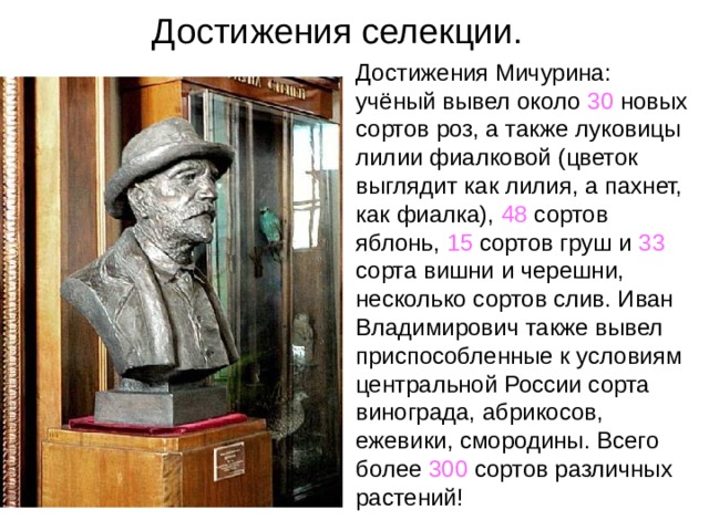 Достижения селекции. Достижения Мичурина: учёный вывел около 30 новых сортов роз, а также луковицы лилии фиалковой (цветок выглядит как лилия, а пахнет, как фиалка), 48 сортов яблонь, 15 сортов груш и 33 сорта вишни и черешни, несколько сортов слив. Иван Владимирович также вывел приспособленные к условиям центральной России сорта винограда, абрикосов, ежевики, смородины. Всего более 300 сортов различных растений! 