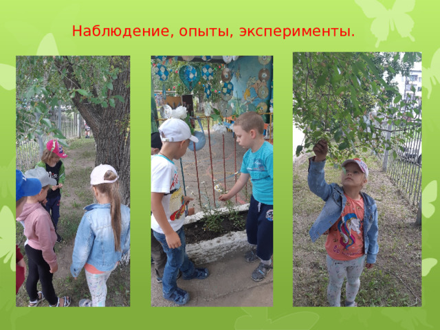  Наблюдение, опыты, эксперименты. 