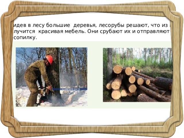 Увидев в лесу большие деревья, лесорубы решают, что из них получится красивая мебель. Они срубают их и отправляют на лесопилку. 