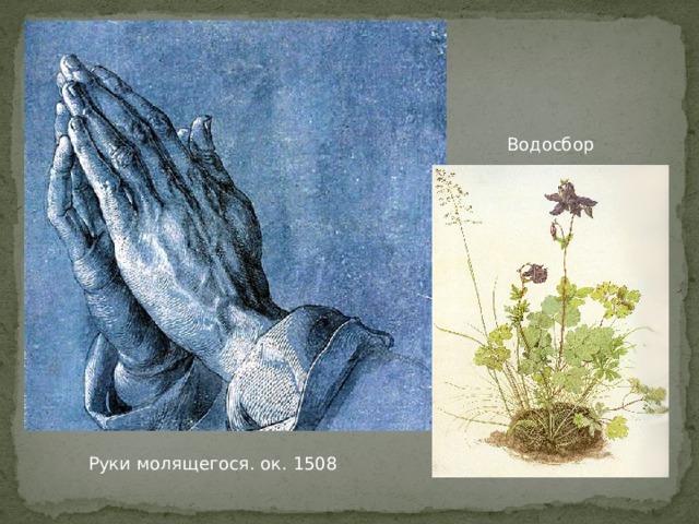 Водосбор Руки молящегося. ок. 1508 