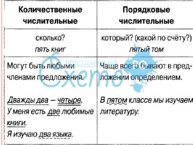 Склонение количественных числительных 6 класс проверочная работа. Какими членами предложения могут быть количественные числительные. Виды количественных числительных. Склонение количественных числительных.