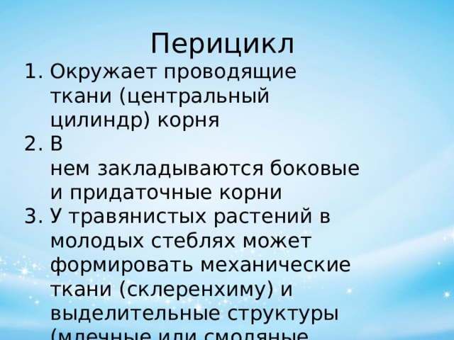 Перицикл Окружает проводящие ткани (центральный цилиндр) корня В нем закладываются боковые и придаточные корни У травянистых растений в молодых стеблях может формировать механические ткани (склеренхиму) и выделительные структуры (млечные или смоляные ходы). 