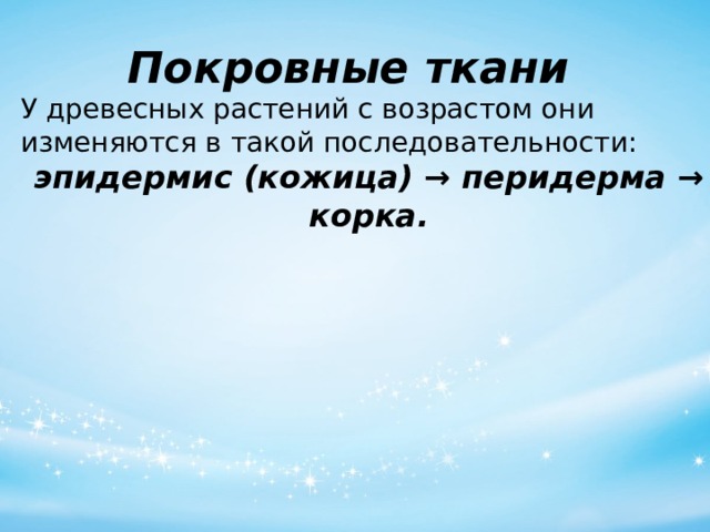 Покровные ткани   У древесных растений с возрастом они изменяются в такой последовательности: эпидермис (кожица) → перидерма → корка. 