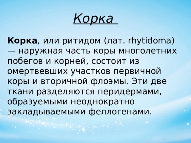 Корка Корка , или ритидом (лат. rhytidoma) — наружная часть коры многолетних побегов и корней, состоит из омертвевших участков первичной коры и вторичной флоэмы. Эти две ткани разделяются перидермами, образуемыми неоднократно закладываемыми феллогенами. 