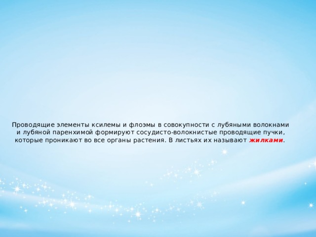 Проводящие элементы ксилемы и флоэмы в совокупности с лубяными волокнами и лубяной паренхимой формируют сосудисто-волокнистые проводящие пучки, которые проникают во все органы растения. В листьях их называют  жилками .    