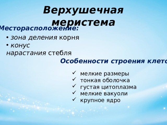 Верхушечная меристема Месторасположение:  зона деления  корня   конус нарастания  стебля Особенности строения клеток: мелкие размеры тонкая оболочка густая цитоплазма мелкие вакуоли крупное ядро 