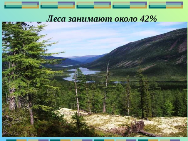  Леса занимают около 42% 
