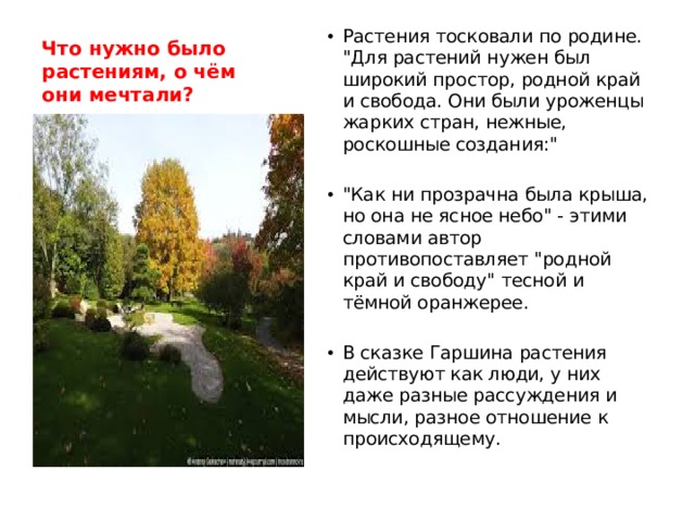 Что нужно было растениям, о чём они мечтали? Растения тосковали по родине. 