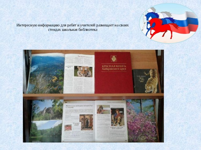   Интересную информацию для ребят и учителей размещает на своих стендах школьная библиотека   