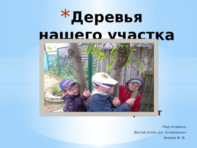 Деревья нашего участка Экологический проект Подготовила: Воспитатель д/с «Снежинка» Змеева М. В. 