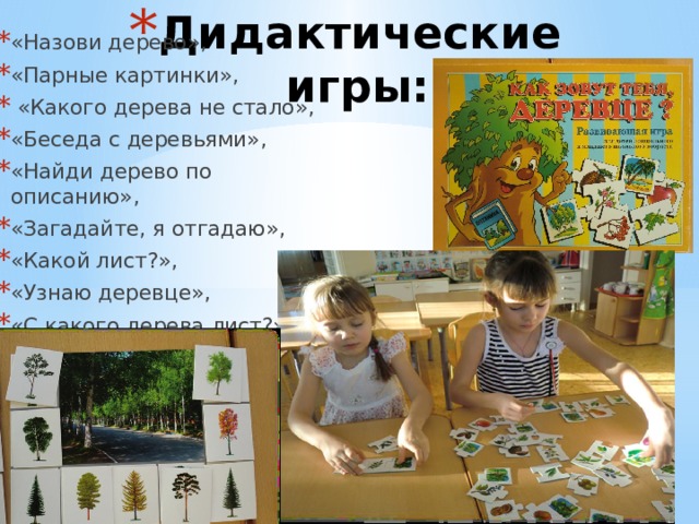 Дидактические игры: «Назови дерево», «Парные картинки»,  «Какого дерева не стало», «Беседа с деревьями», «Найди дерево по описанию», «Загадайте, я отгадаю», «Какой лист?», «Узнаю деревце», «С какого дерева лист?» 