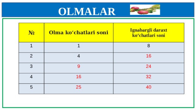 OLMALAR    № Olma ko‘chatlari soni 1 Ignabargli daraxt  ko‘chatlari soni 1 2 8 4 3 9 4 16 16 5 24 32 25 40   