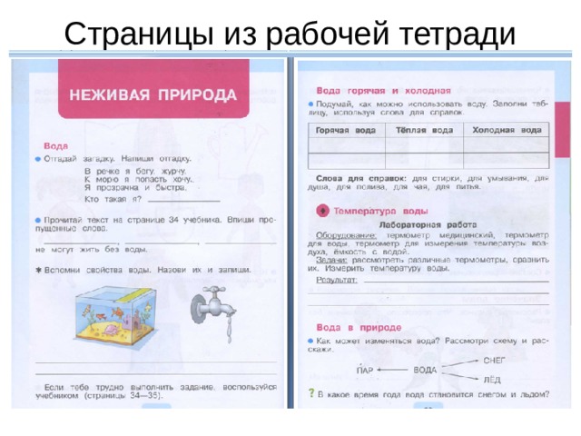 Рассмотри рисунок и дополни предложения. Дополните схему. Рассмотри схему из тетради. Схемы круги отношений информатика. Рис 112 биология 7 класс.