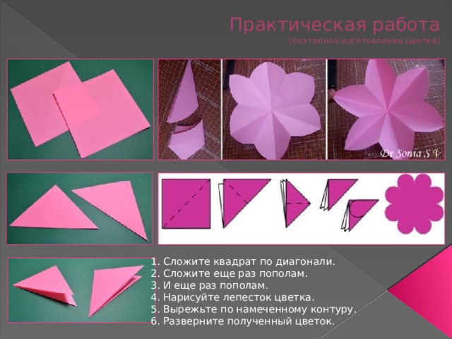 Практическая работа  (поэтапное изготовление цветка) 1. Сложите квадрат по диагонали. 2. Сложите еще раз пополам. 3. И еще раз пополам. 4. Нарисуйте лепесток цветка. 5. Вырежьте по намеченному контуру. 6. Разверните полученный цветок. 