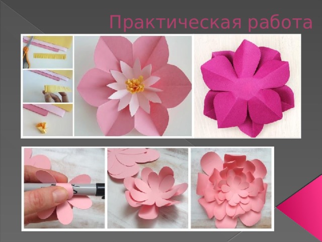 Практическая работа 