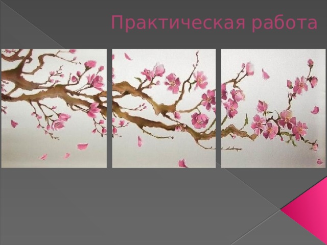 Практическая работа 