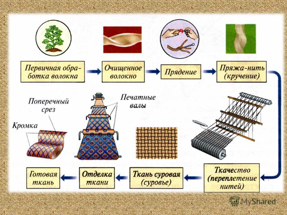 Схема получения ткани