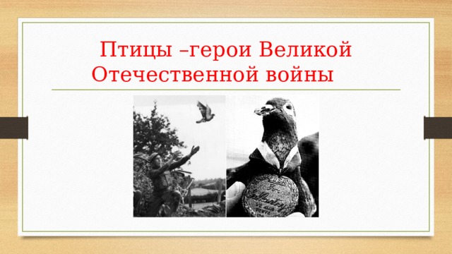 Птицы –герои Великой Отечественной войны 