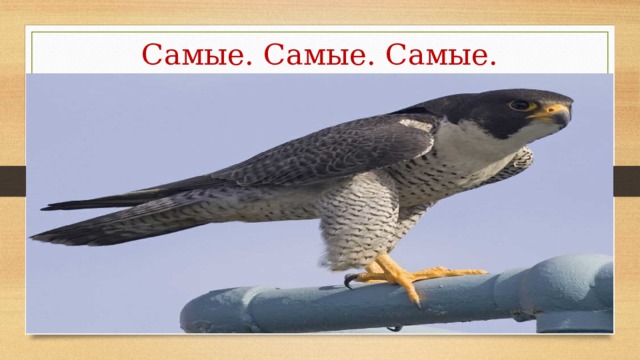 Самые. Самые. Самые. 