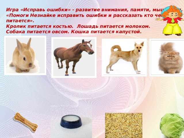 Игра «Исправь ошибки» - развитие внимания, памяти, мышления. «Помоги Незнайке исправить ошибки и рассказать кто чем питается». Кролик питается костью. Лошадь питается молоком. Собака питается овсом. Кошка питается капустой.  