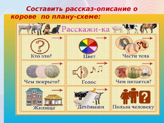  Составить рассказ-описание о корове по плану-схеме: 