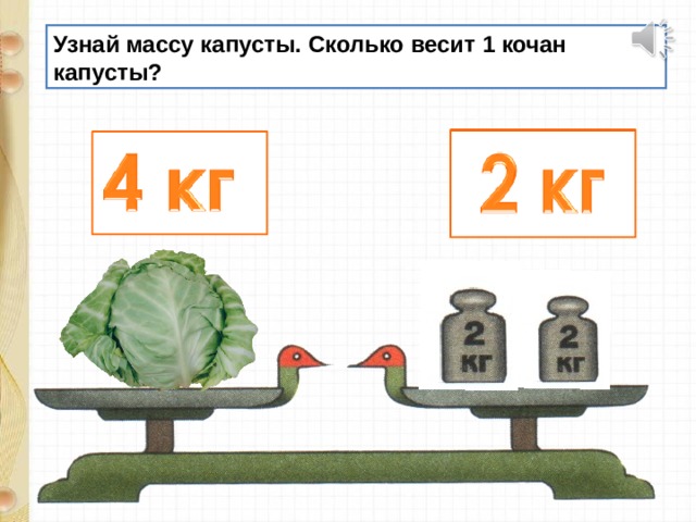 Узнай массу капусты. Сколько весит 1 кочан капусты? 
