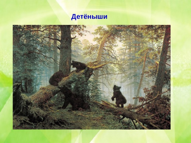 Детёныши 