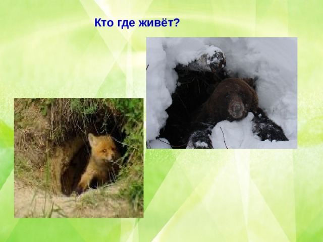 Кто где живёт? 