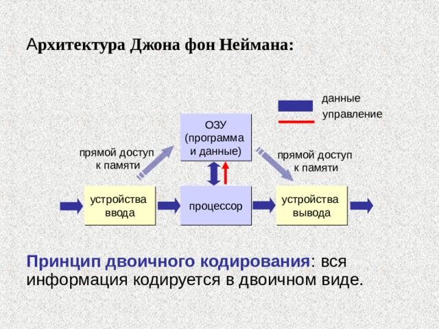 Схема фон неймана информатика