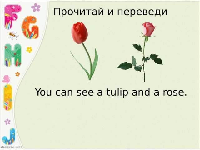 Прочитай и переведи You can see a tulip and a rose. 