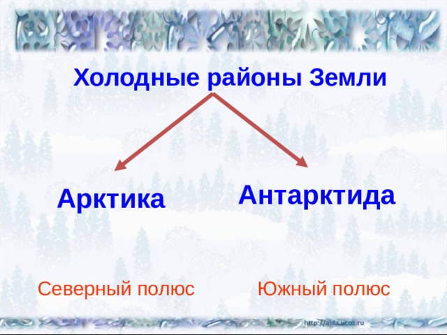 Холодные районы Земли Антарктида Арктика Северный полюс Южный полюс 