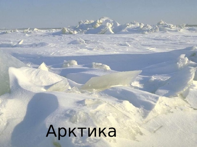 Арктика 