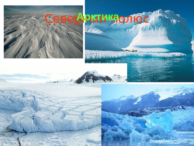Северный полюс Арктика 