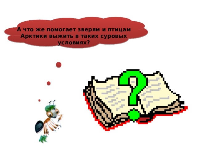  А что же помогает зверям и птицам Арктики выжить в таких суровых условиях? 