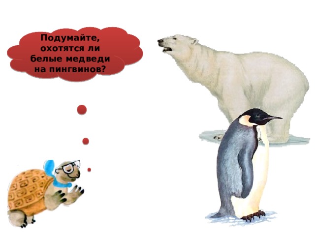 Охотятся ли медведи на пингвинов окружающий мир. Белый медведь охотится на пингвинов.