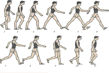 Техники спортивной ходьбы