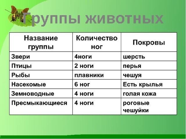 Презентация по окружающему миру 1 класс 21 век животное живое существо