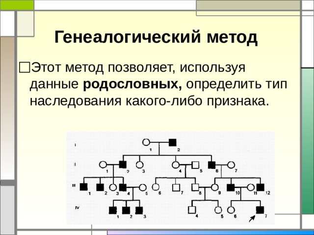 Презентация генеалогический метод исследования