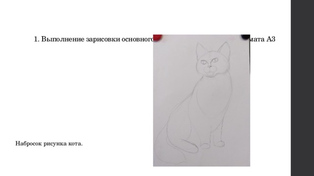 1. Выполнение зарисовки основного рисунка кота на листе, формата А3 Набросок рисунка кота. 
