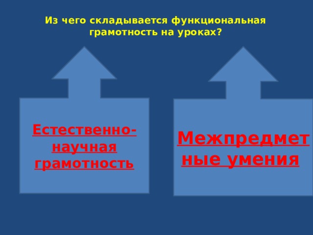 Из чего складывается функциональная грамотность на уроках?   Межпредметные умения  Естественно-научная грамотность 