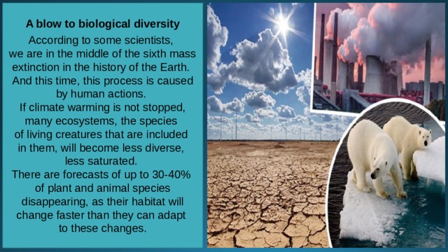 A blow to biological diversity  According to some scientists, we are in the middle of the sixth mass extinction in the history of the Earth. And this time, this process is caused by human actions. If climate warming is not stopped, many ecosystems, the species of living creatures that are included in them, will become less diverse, less saturated. There are forecasts of up to 30-40% of plant and animal species disappearing, as their habitat will change faster than they can adapt to these changes. 