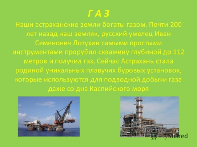 Презентация проекта "Родной Благословенный Дом"