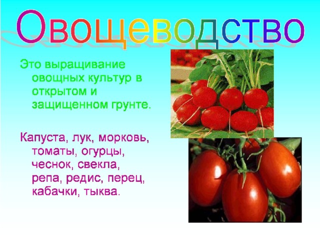 Растениеводство в белгородской области проект 4 класс